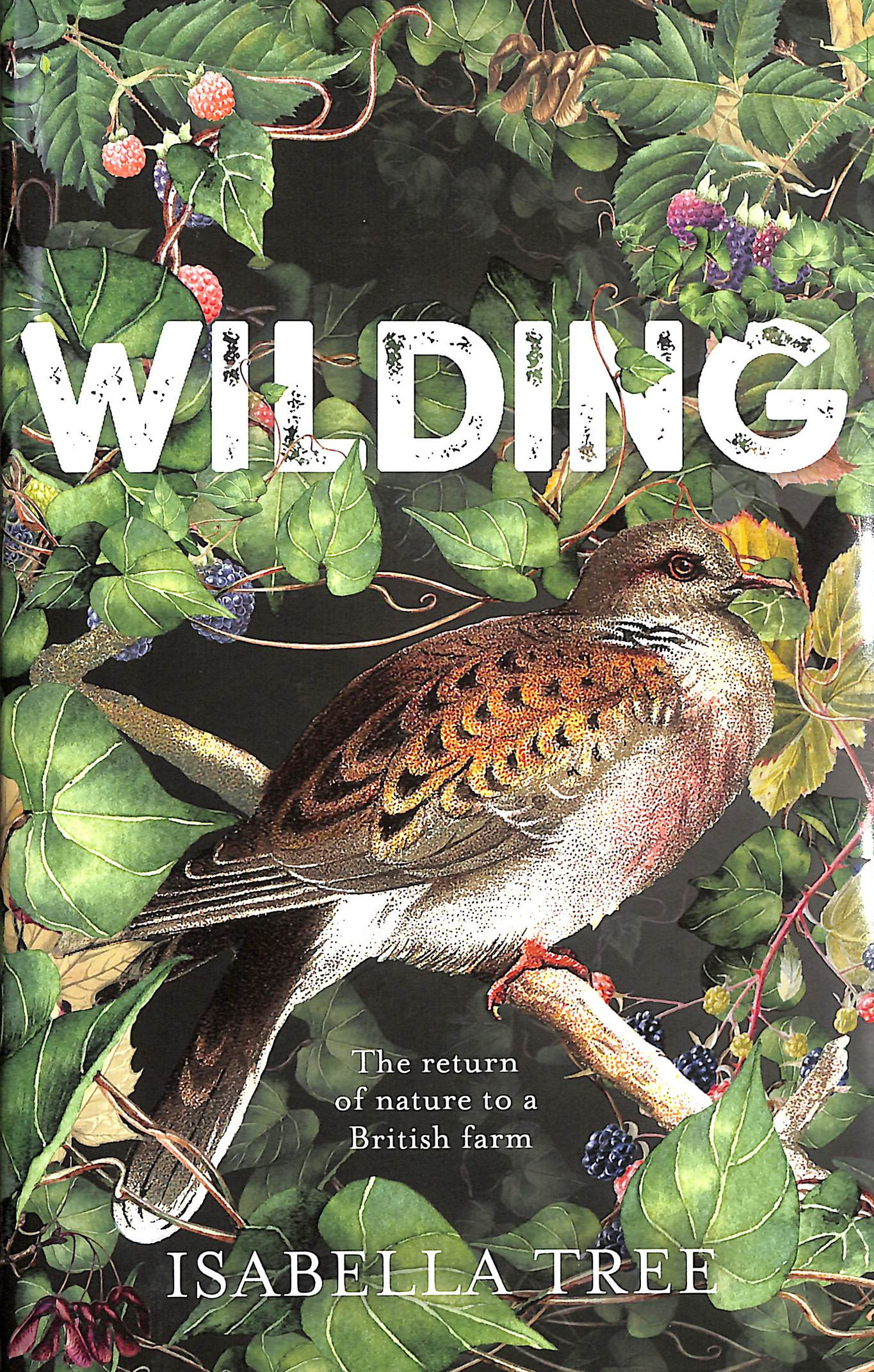Wilding: The return of nature to a British farm
