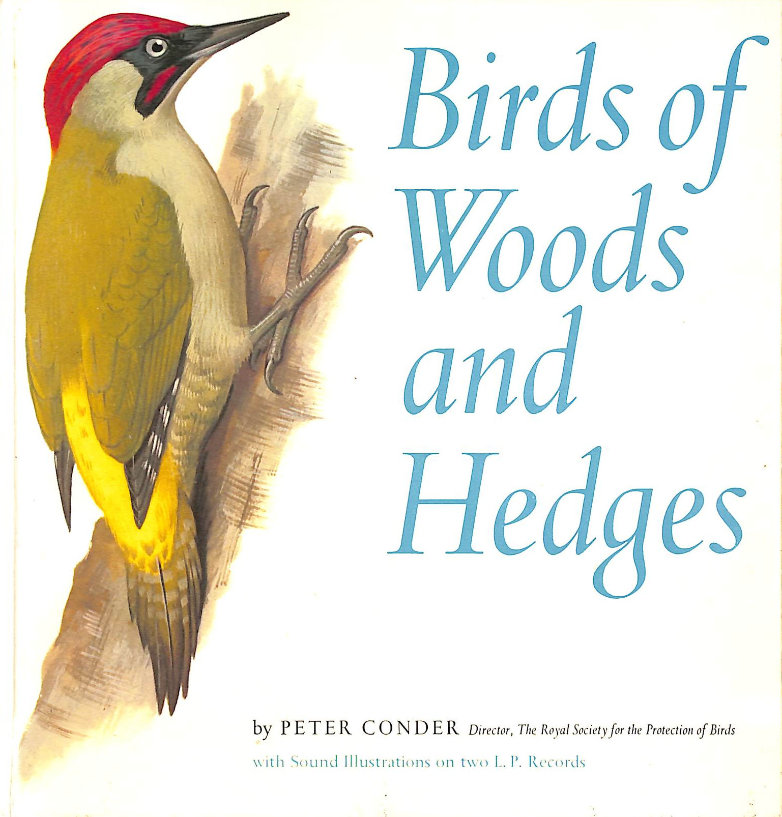 Birds of Woods and Hedges
