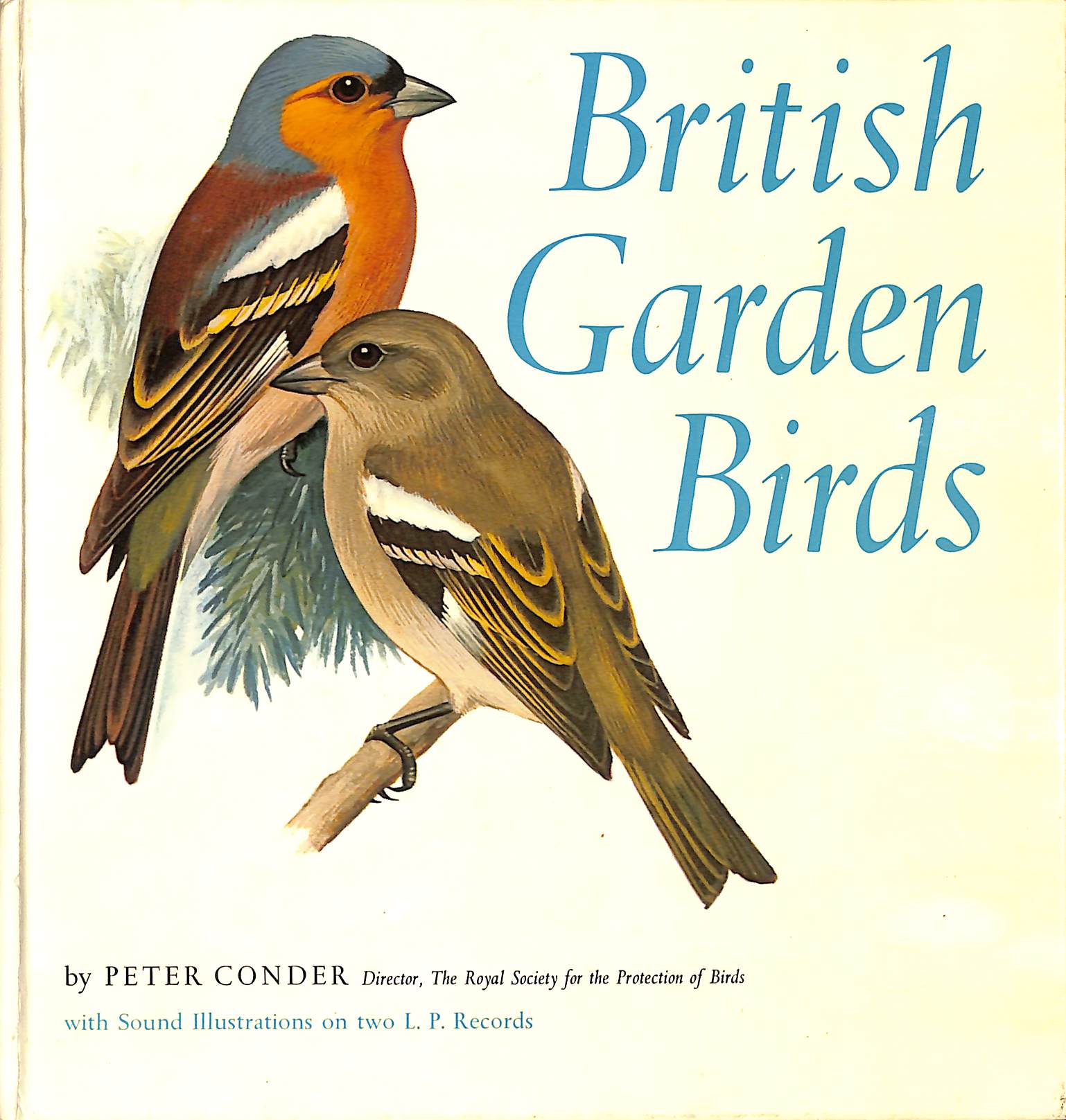 British Garden Birds