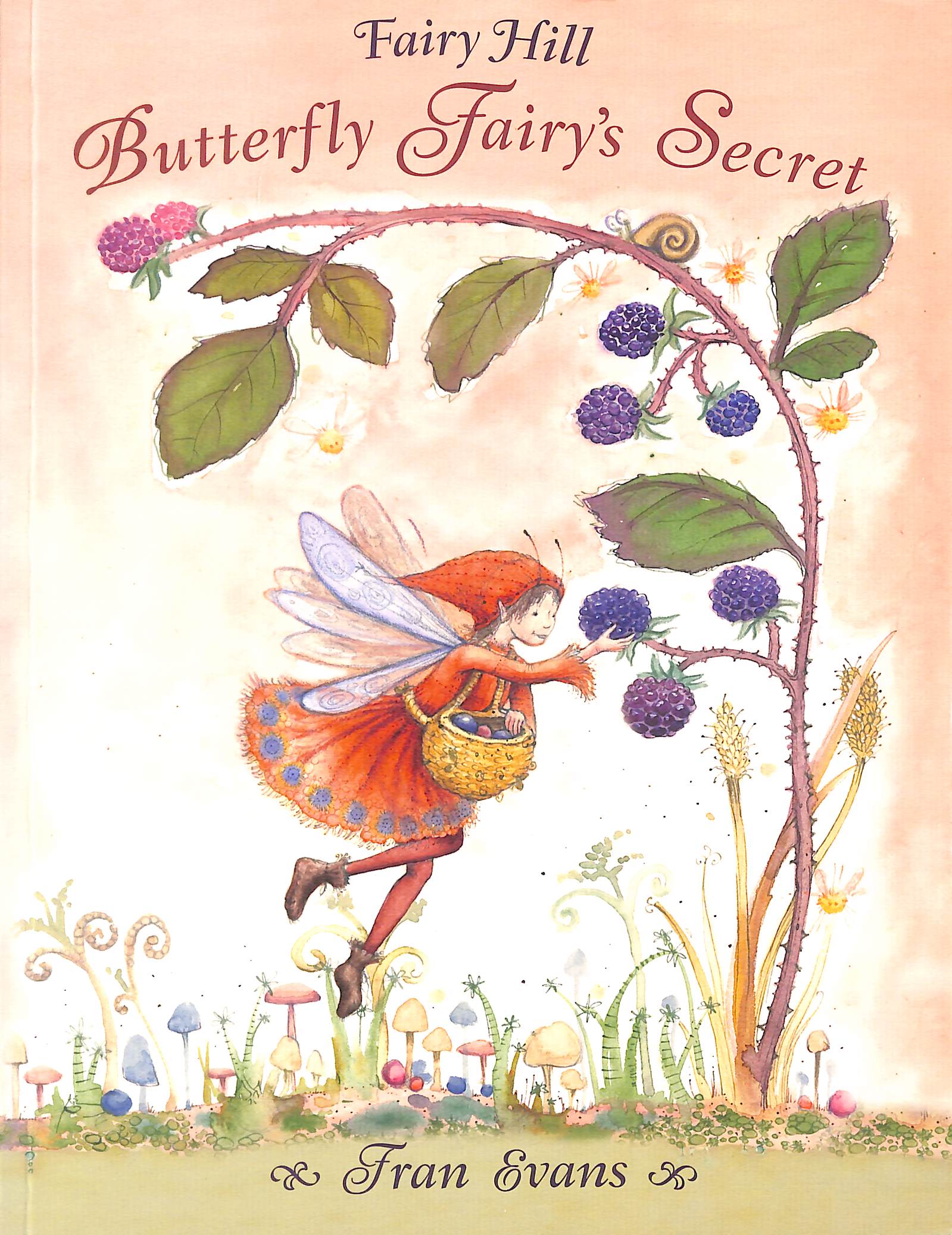 Butterfly Fairy's Secret